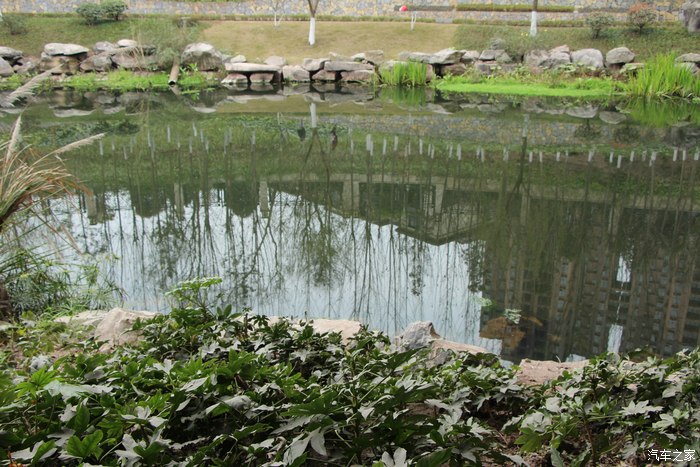 内江谢家河湿地公园半日游!
