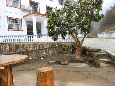 武汉到张家界自驾游最新路线攻略