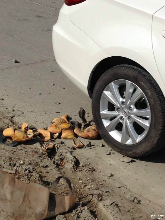 【图】看图!有亮点,LZ吓尿了~~~_逸动论坛_汽车之家论坛