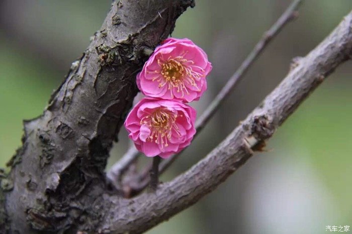 【图】饭后溜溜_海马骑士论坛_汽车之家论坛