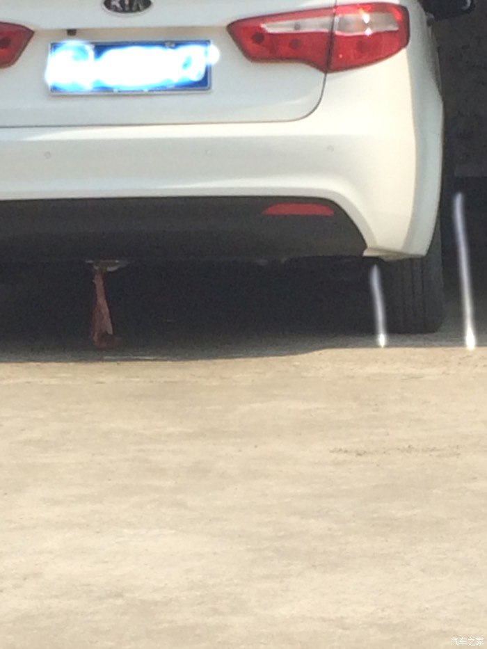 【图】小儿外八字腿了…_起亚K2论坛