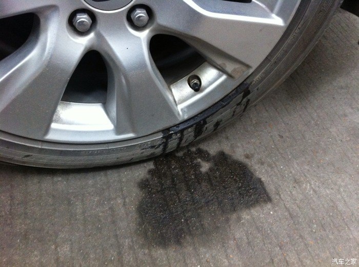 【图】经常被狗尿,不会腐蚀吧