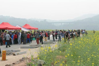 【重庆骋驰天下车友会】哄死人的广阳岛油菜花