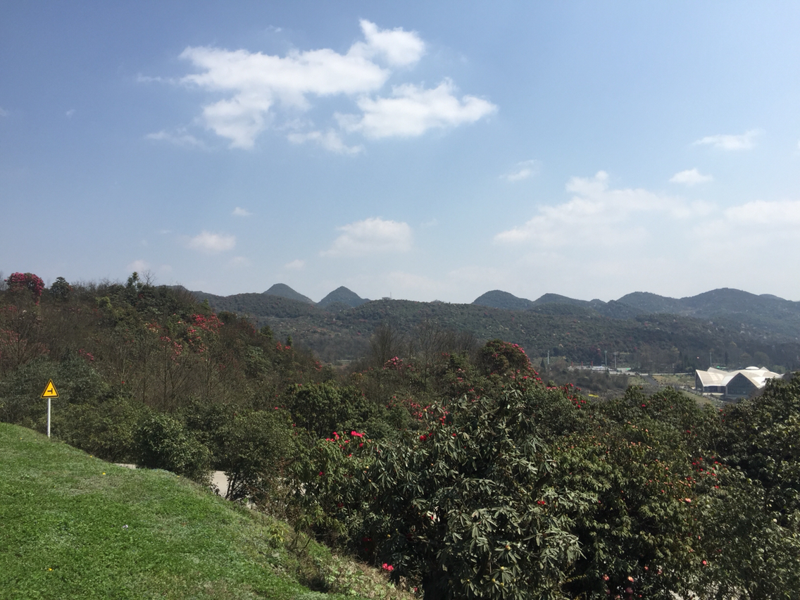 【图】2015贵州百里杜鹃花节开幕式