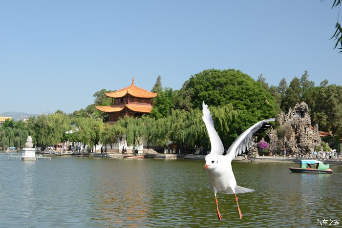 【图】学习PS图片_云南论坛_汽车之家论坛