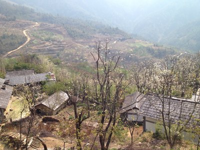 乡土--景东--黄草岭
