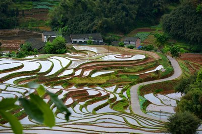 【快乐游记】藏在深山里的美景--贵州赤水宝源梯田