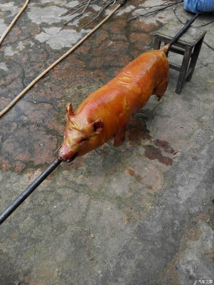 清明明江烤猪