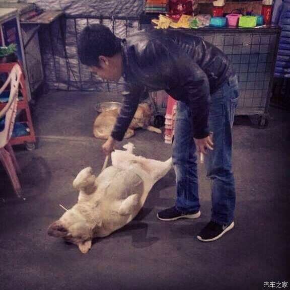 【图】风吹<em>奶罩</em>咪咪凉~_卡罗拉论坛_汽车之家