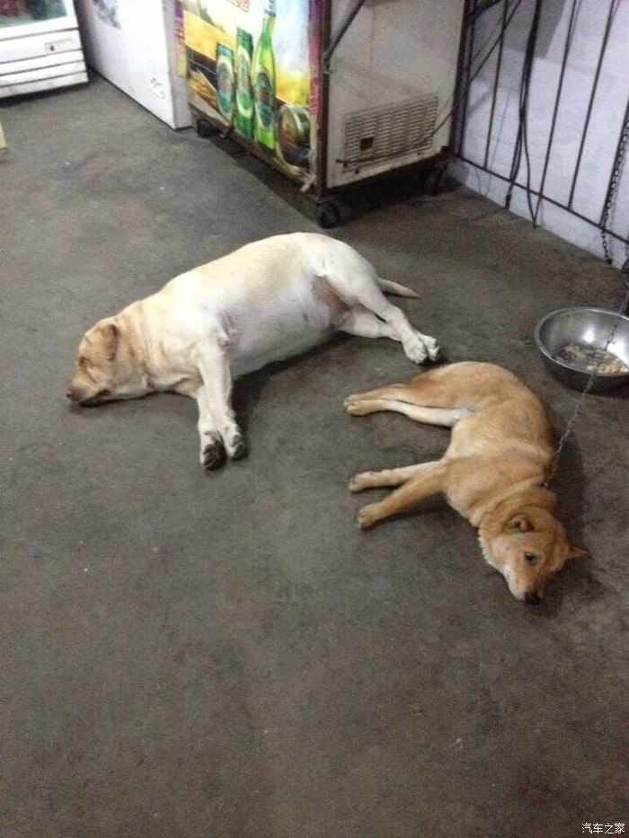 【图】风吹<em>奶罩</em>咪咪凉~_卡罗拉论坛_汽车之家