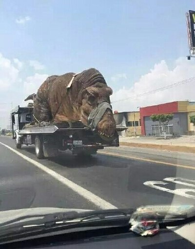 发黄图。求犬当家封我号。