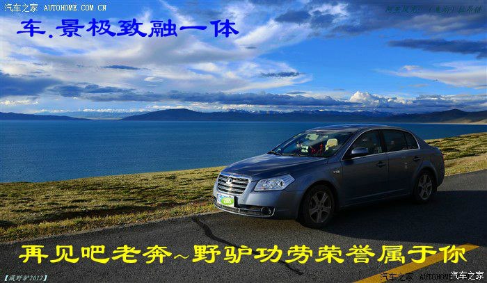 忍不住了,甘愿做只小白鼠】野驴九哥大配对,求