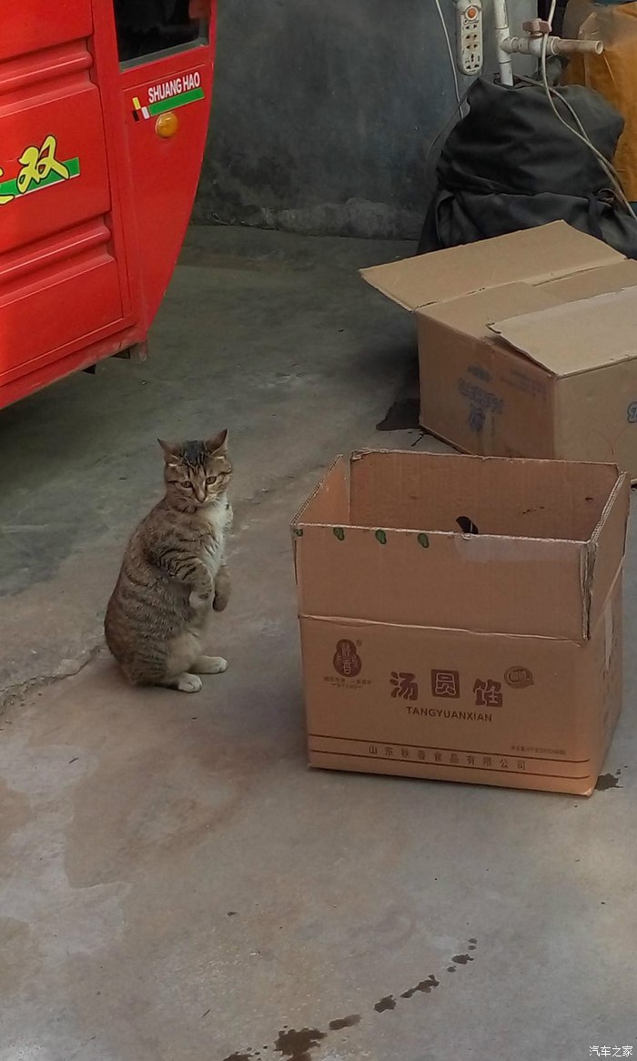 时间,不知道贴哪里合适了,就这里吧.不显得那么突兀吧? 这个是高清图片