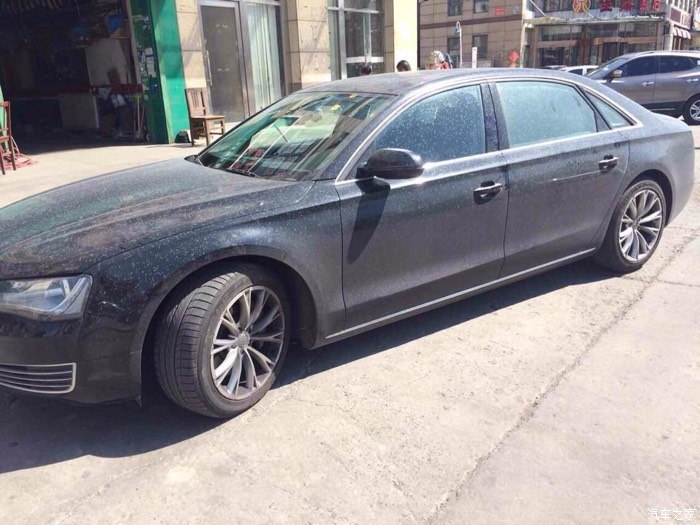 【图】隔壁配货站的老板提了一辆A8,说55w提