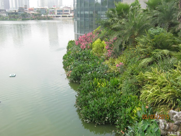 【图】【花样南宁之民歌湖】可远看不可近玩也