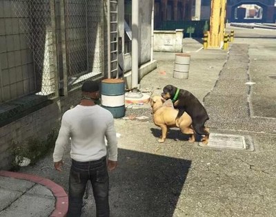 五一不去添堵在家玩gta5二狗也来晒点图让熊猫都去她妈的吧