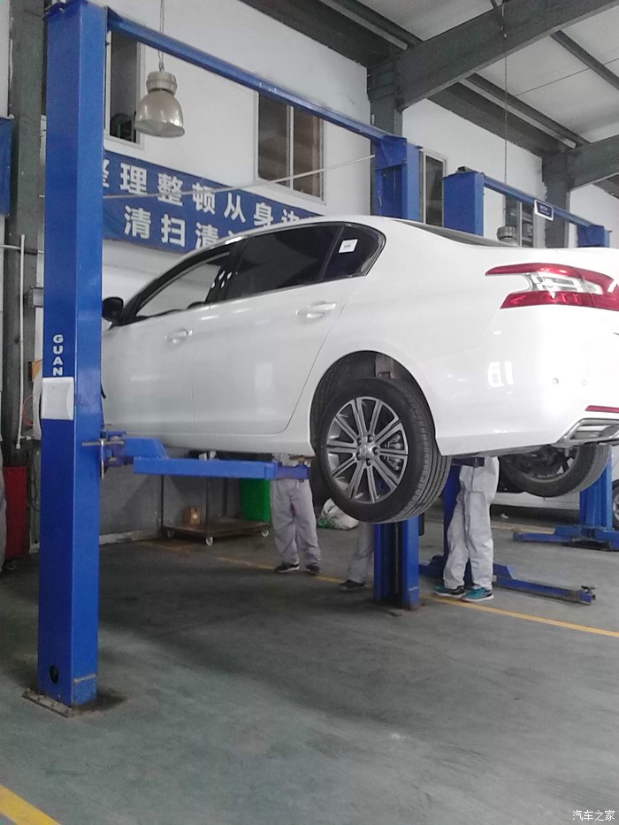 好心疼,今天大白狮做了首例手术。_标致408论