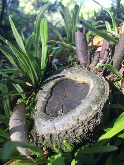 烂苹果相机效果不错啊,怪不得现在卡片机没人