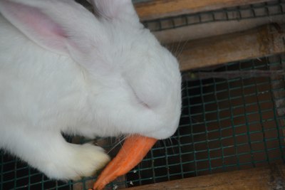 五一假期和朋友、孩儿们去人少的地方玩_广东