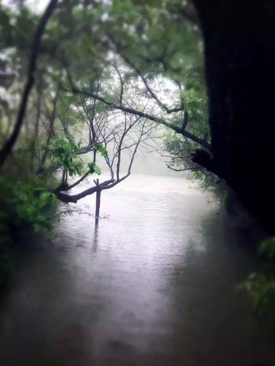 两个人的幸运--五一福建福鼎-浙江杭州-湖州-南