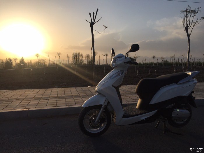 【图】入手泰国进口15款本田LEAD125