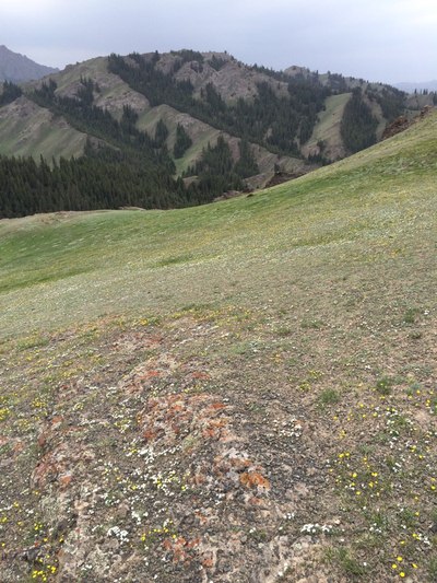 美丽天山和哈萨克人_甘肃_手机汽车之家