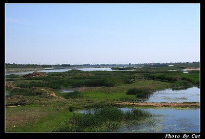 开着小七参加《走遍平度》沽河行