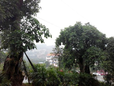 【重庆长安家族】275胖胖见证长安家族三岁