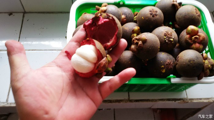 舌尖上的C5论坛--滇南水果宴:无花果+山竹+油