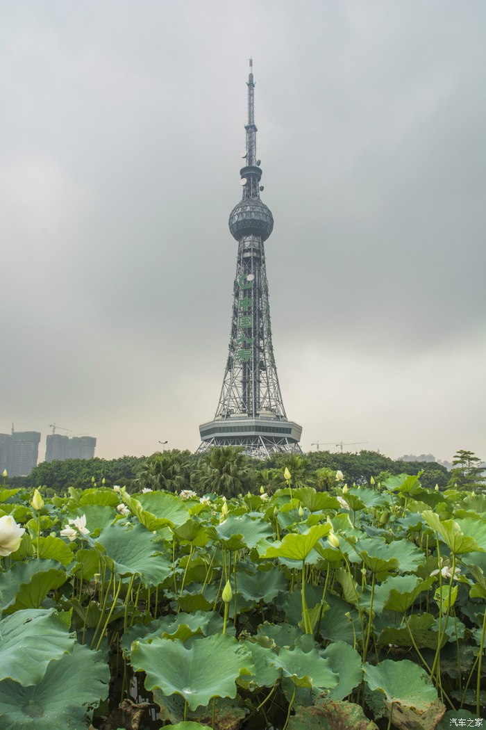 这佛山的标,佛山电视塔,紧邻着佛山文华公园以及岭南明珠体育馆,佛山