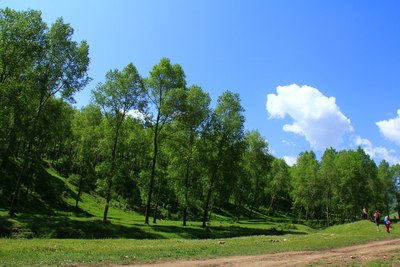 竹子沟里没竹子,但山美水美_甘肃