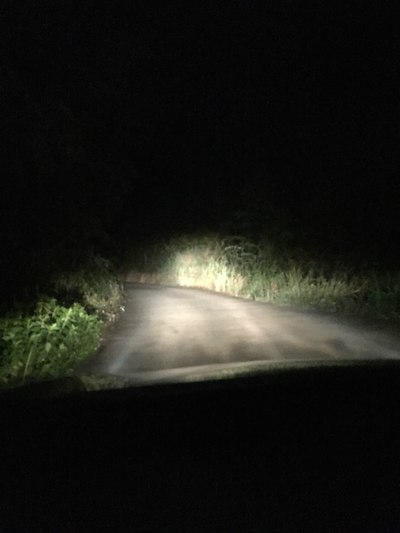 我艰难的找到一个地方掉头,确实在天天微微亮后看这些夜晚张牙舞爪的