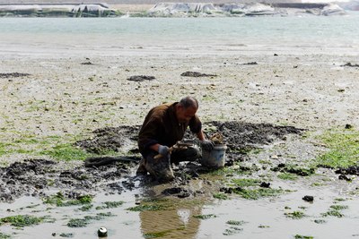 【最爱自驾游】和家人一起过周末--曹妃甸海滩挖蛤蜊