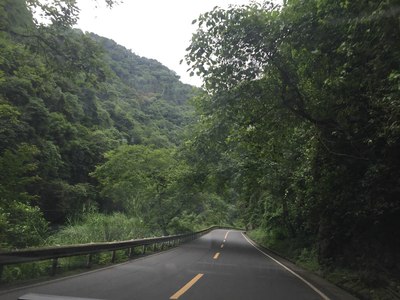 可爱小白狮3008峨眉山青城山都江堰逍遥游