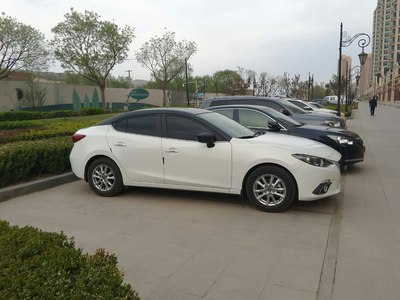 贴不贴黑车顶呢?大家投个票