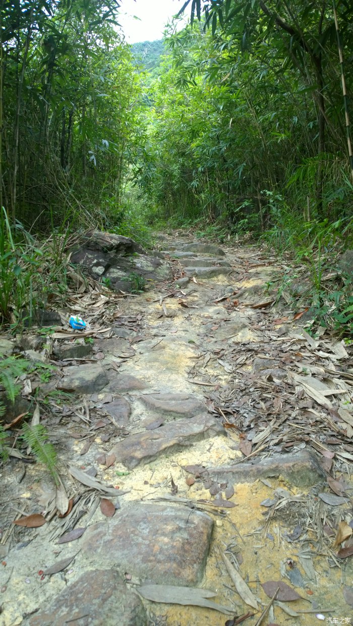 海丰莲花山通平古道穿越