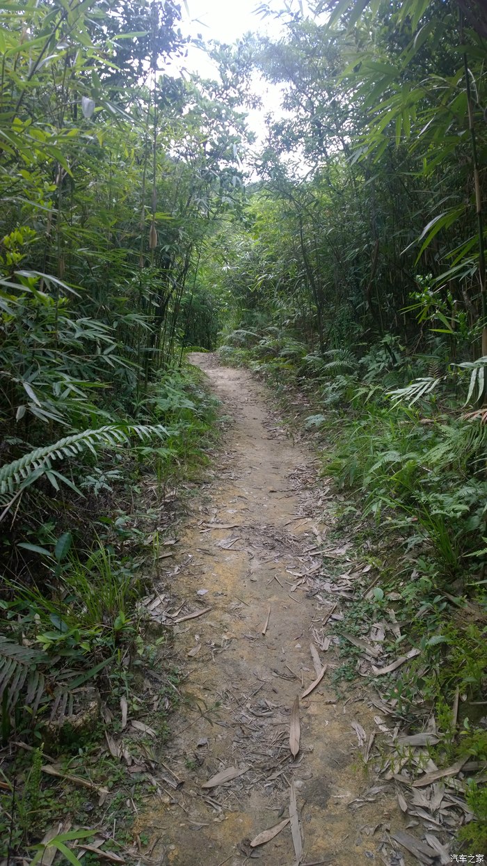 海丰莲花山通平古道穿越