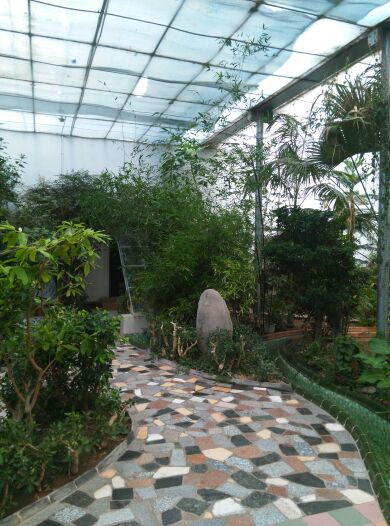 端午出行(一)丰禾庄园_甘肃