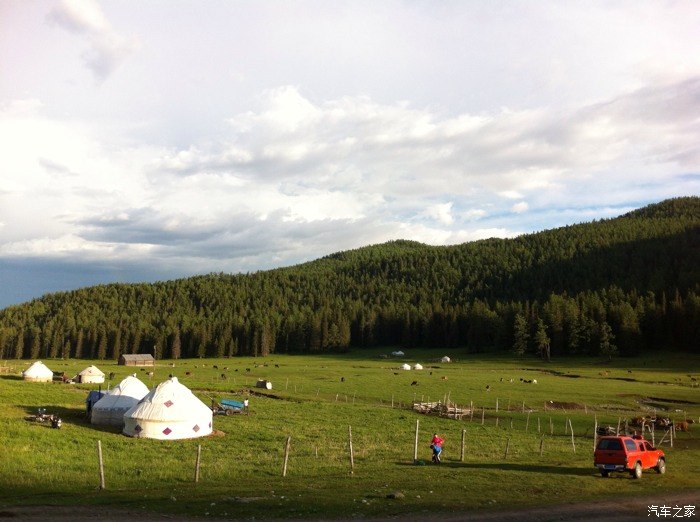 难得一见,6月夏牧场那仁,正山花盛开.旅行就这样,走着看着花就开啦!