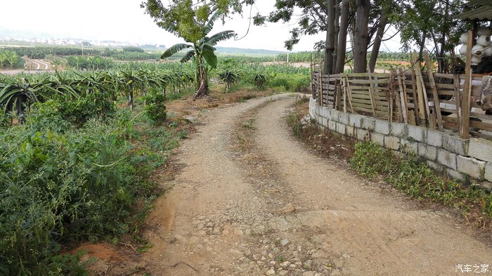 【图】我的农场,红心火龙果,黄皮果,菠萝,土鸡,