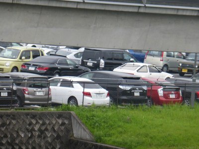 ROY沉寂半年暑期大作,日本超详细深度游(申精