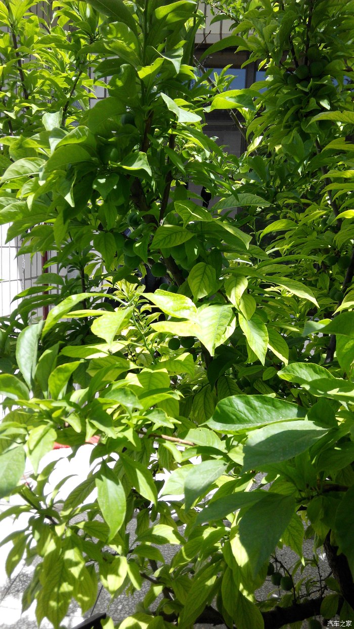 【图】应县木塔游记