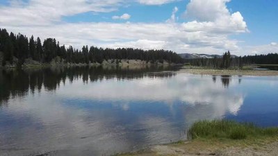 请问运管抓的黑车和专车的罚款去哪里了_上海