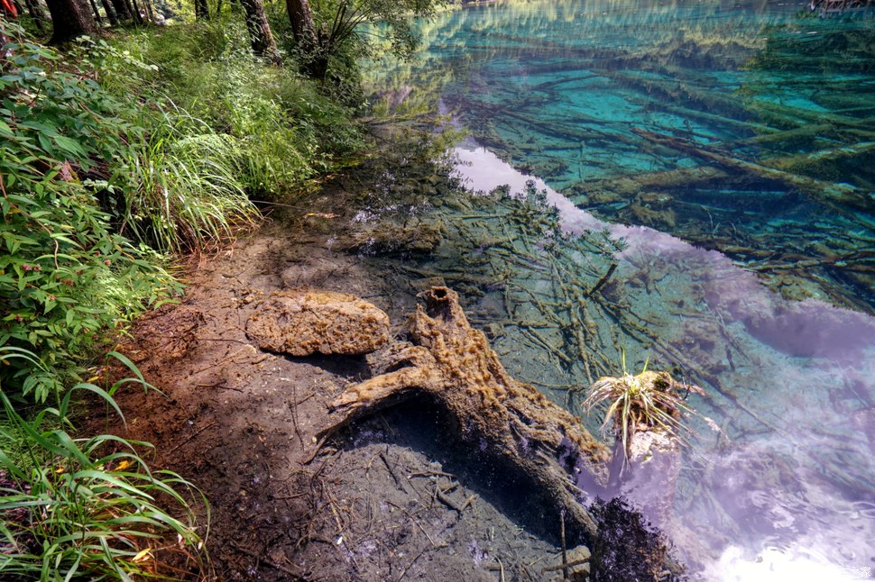 传说中五花海有“九寨沟一绝”和“九寨精华”之誉的五花海，美到无法用