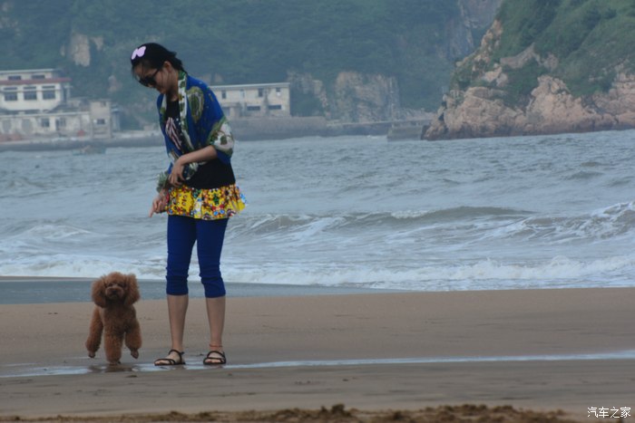 嵊泗哪里吃海鲜_嵊泗列岛_太监是割哪里(3)