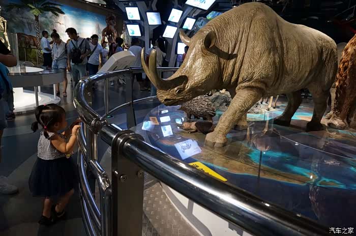 这个犀牛吧?怎么也像河马