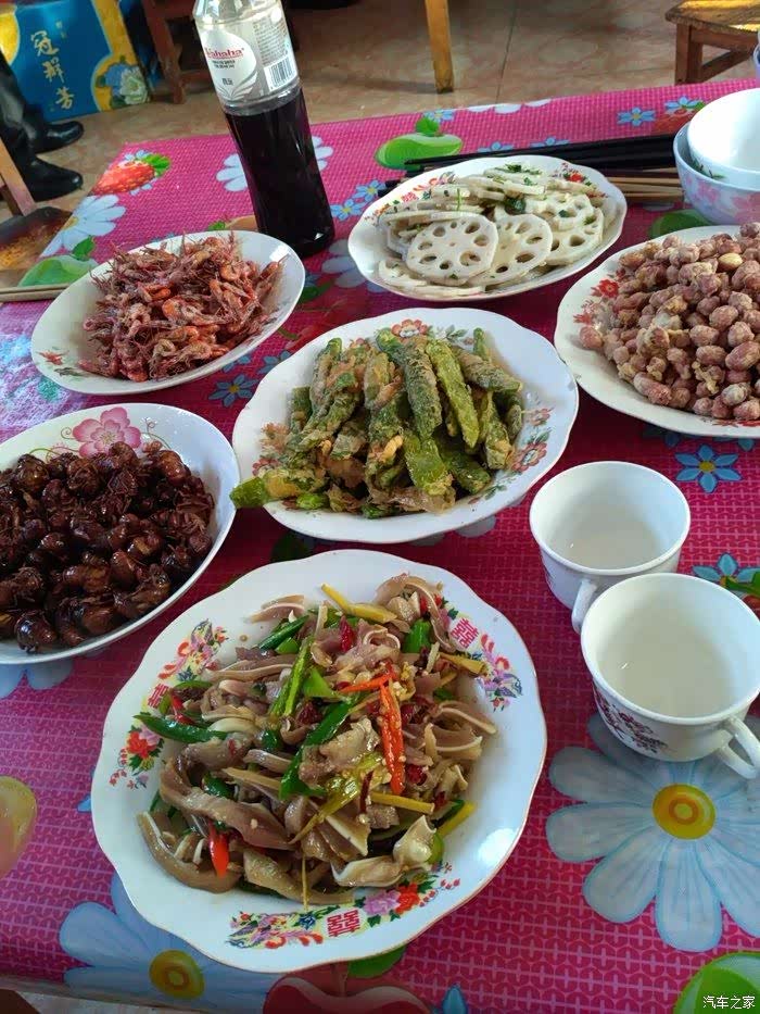 自驾小4环游孟子湖寻食美味佳肴记