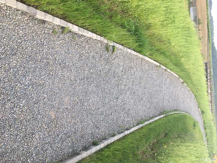 在花的海洋中傲游(下)