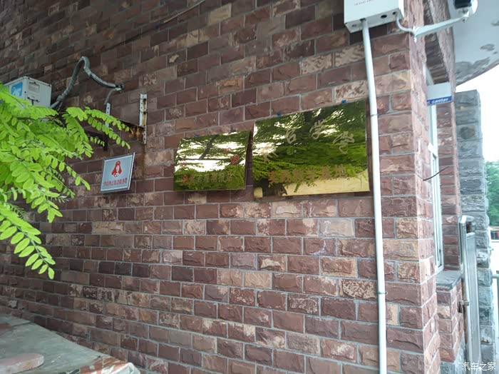 悠哉游玩邢台动物园看狗熊跳舞