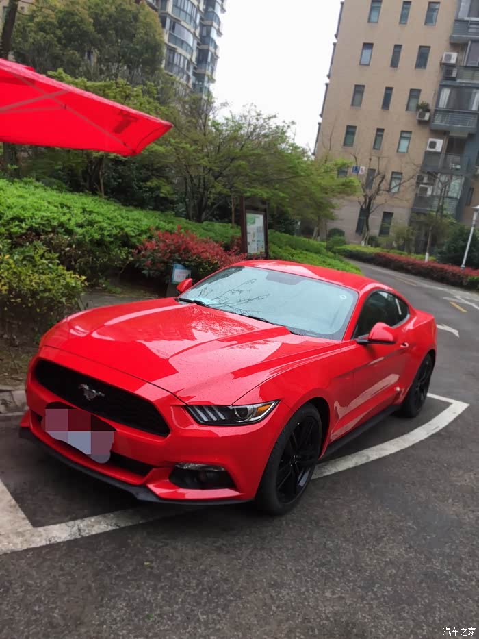 交作业红色中规野马